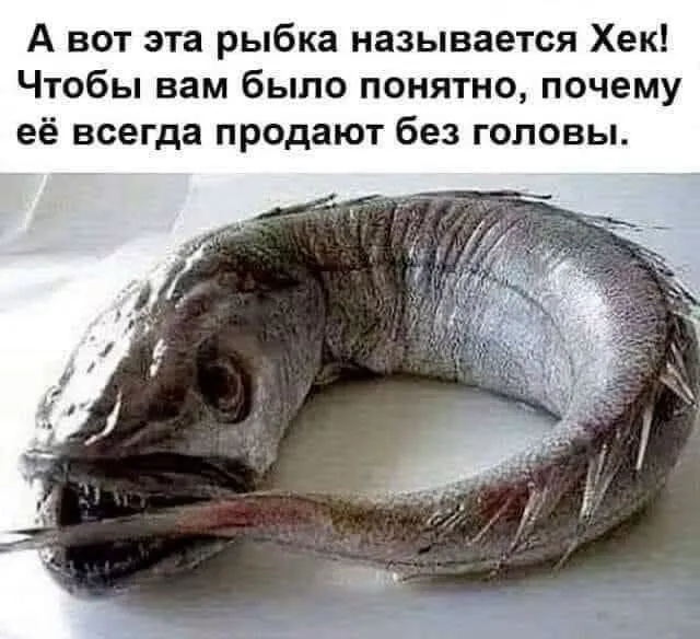 Хек #2