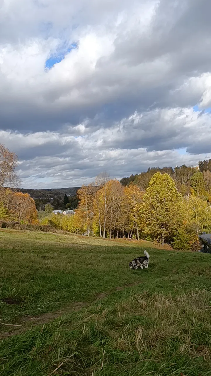 Осенние красоты #2