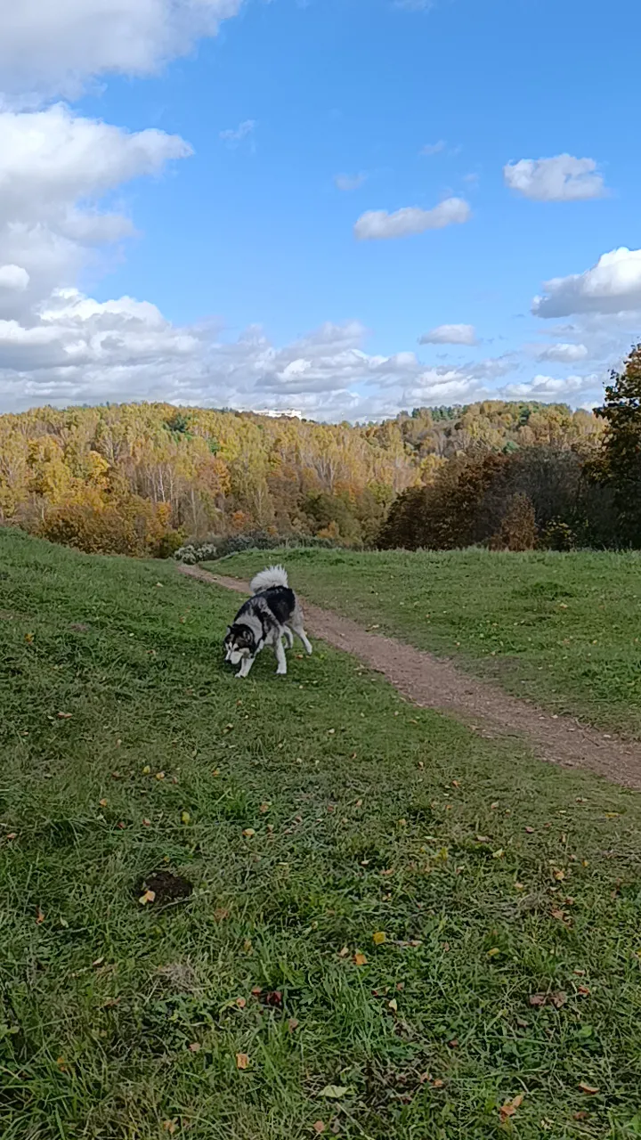 Осенние красоты #5