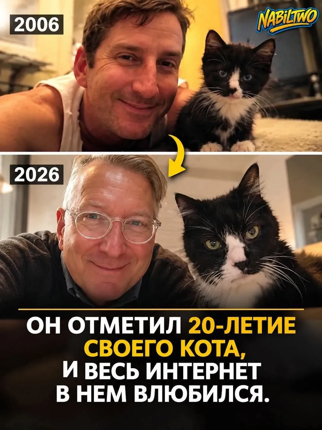 Кот-долгожитель #2
