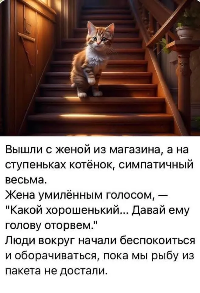 Юмор #2