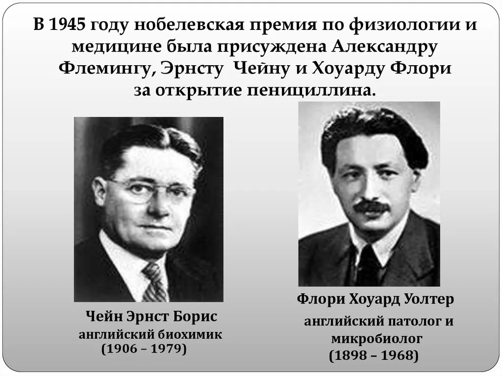 Кто открыл антибиотик? #2
