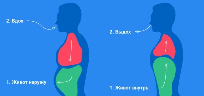 Может ли желудок за 12 минут переварить пищу? #2