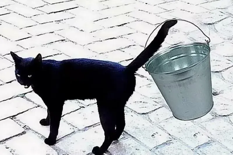 Сложение и гашение примет)) #2