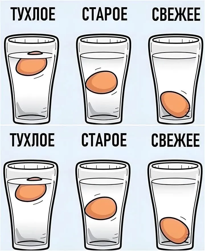 Проверка яиц #2