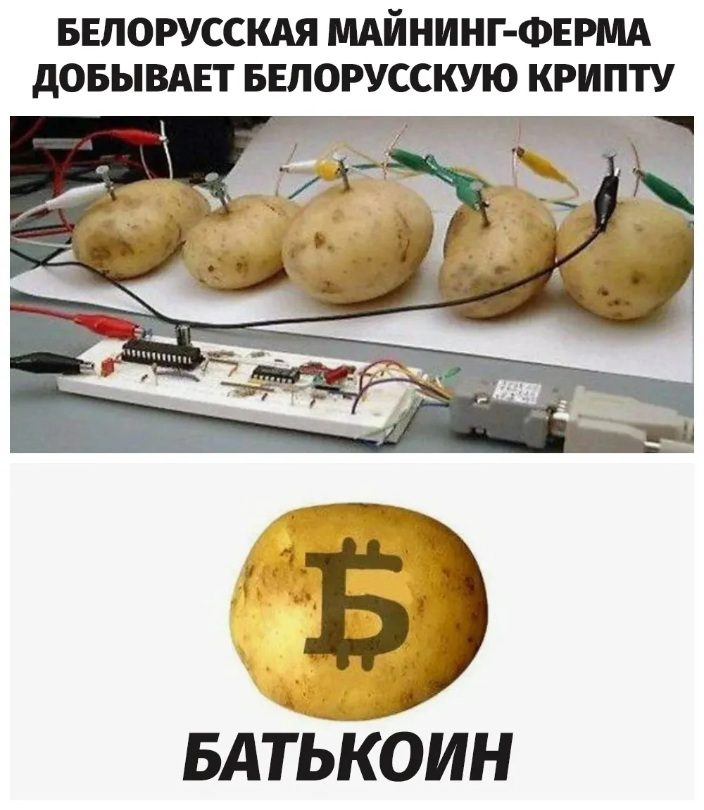Батькоин  #2
