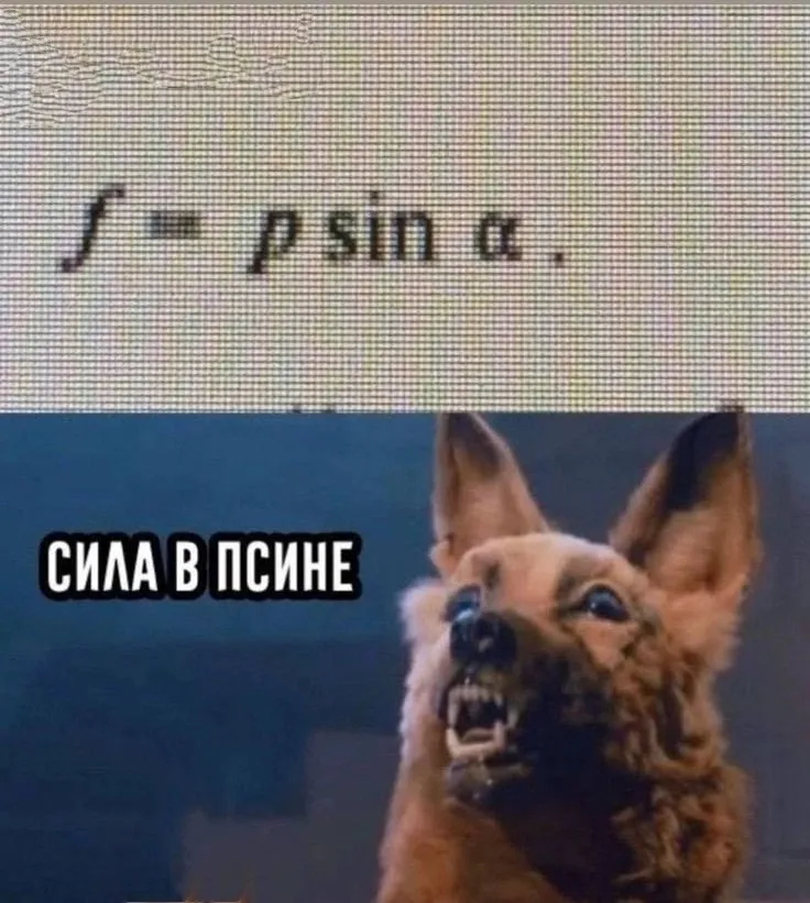 Немного юмора на ночь #4