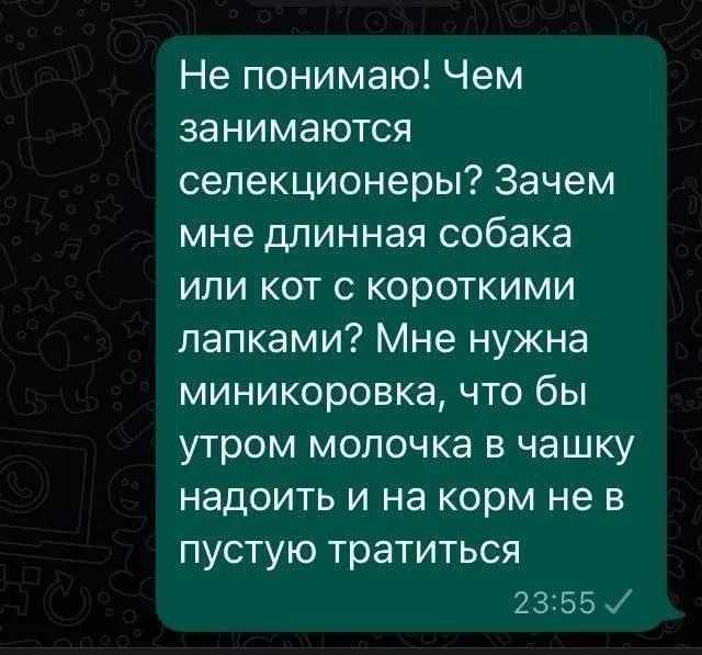 Немного юмора с утра #3