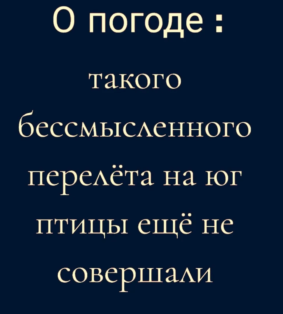 Немного юмора с утра #2