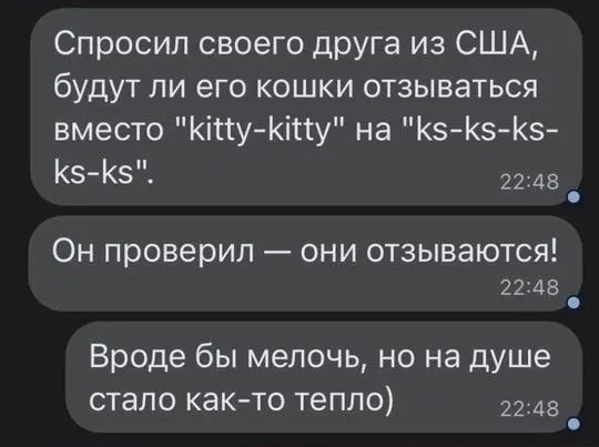 Немного юмора с утра #4