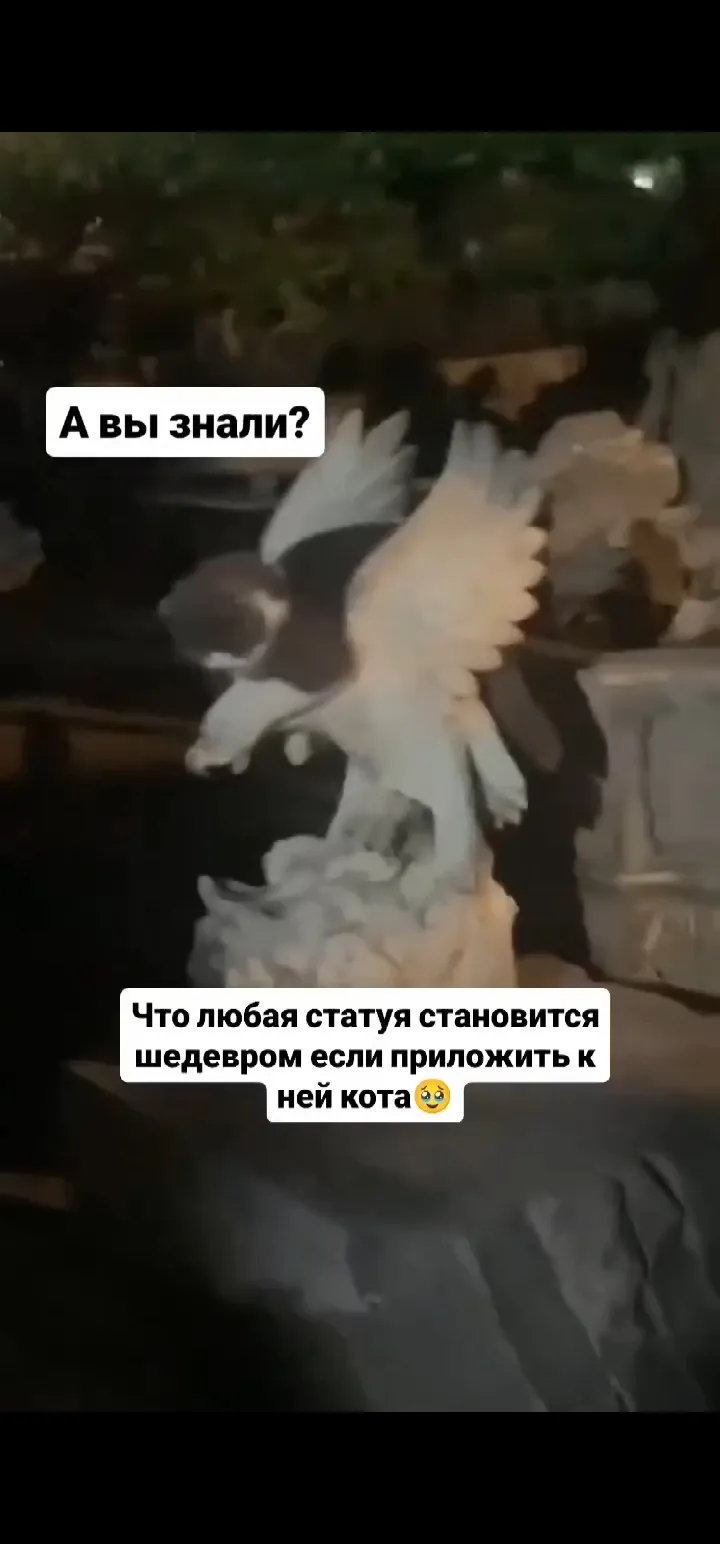 Кот всегда тот)) #2