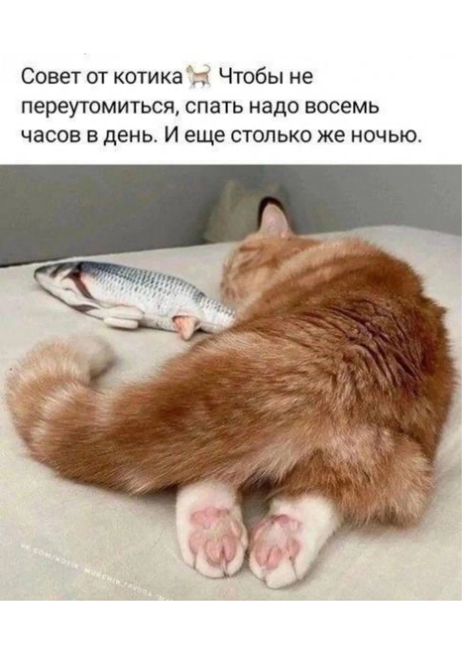 Когда так будет? #2