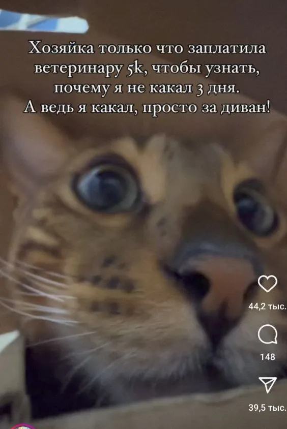 Жизненно... #2