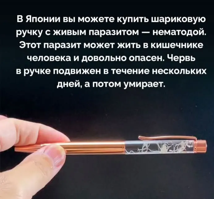 Подарок для тех, кто любит грызть ручки #2