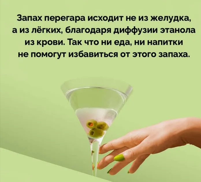А вы знали про перегар? #2