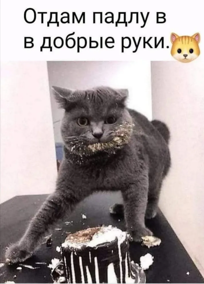 Я их люблю, но все же... #2