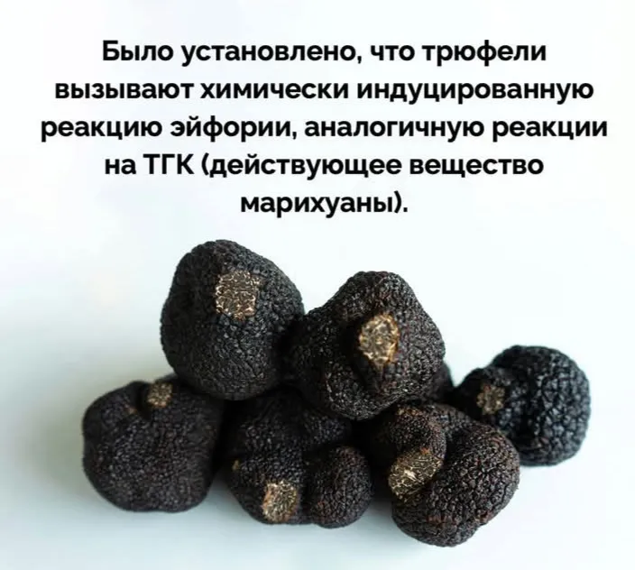 Ели вы такое? #2