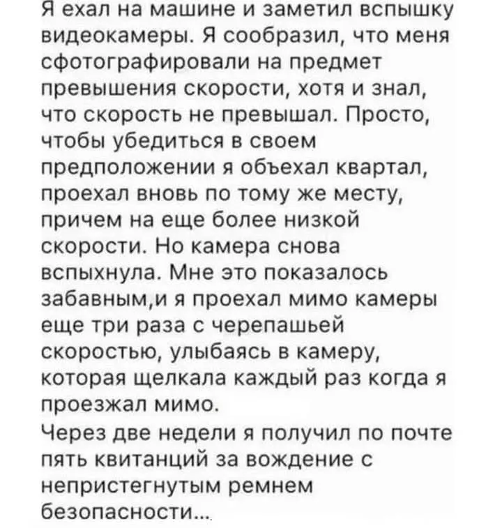 Так всегда бывает с упрямыми  #2