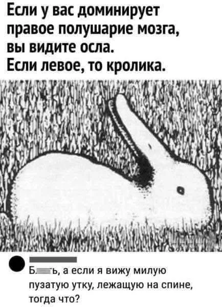 Я тоже ее вижу! #2