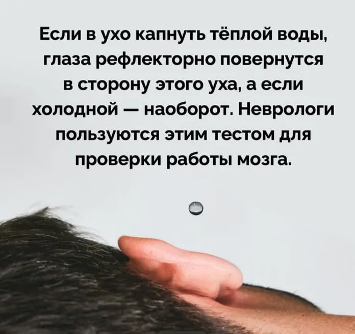 А вы знали, что...  #2