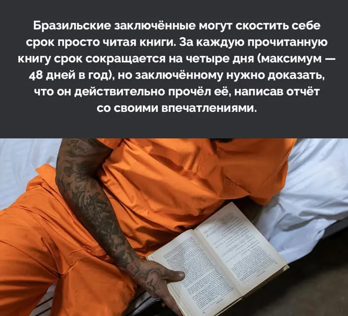Нашим заключённым помогло бы? #2
