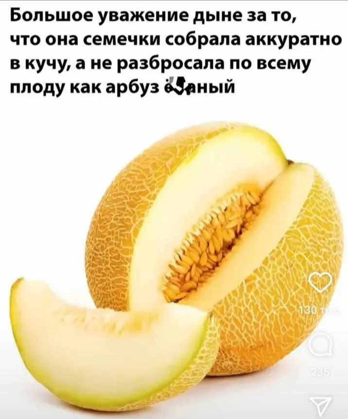 Вот почему я люблю дыню! #2