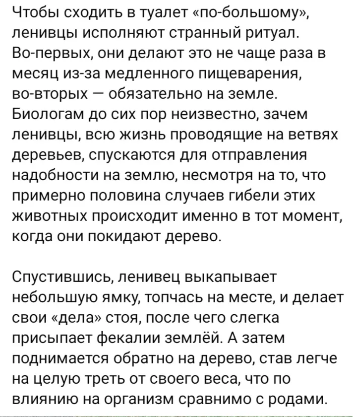 Сходит в туалет или умереть  #1