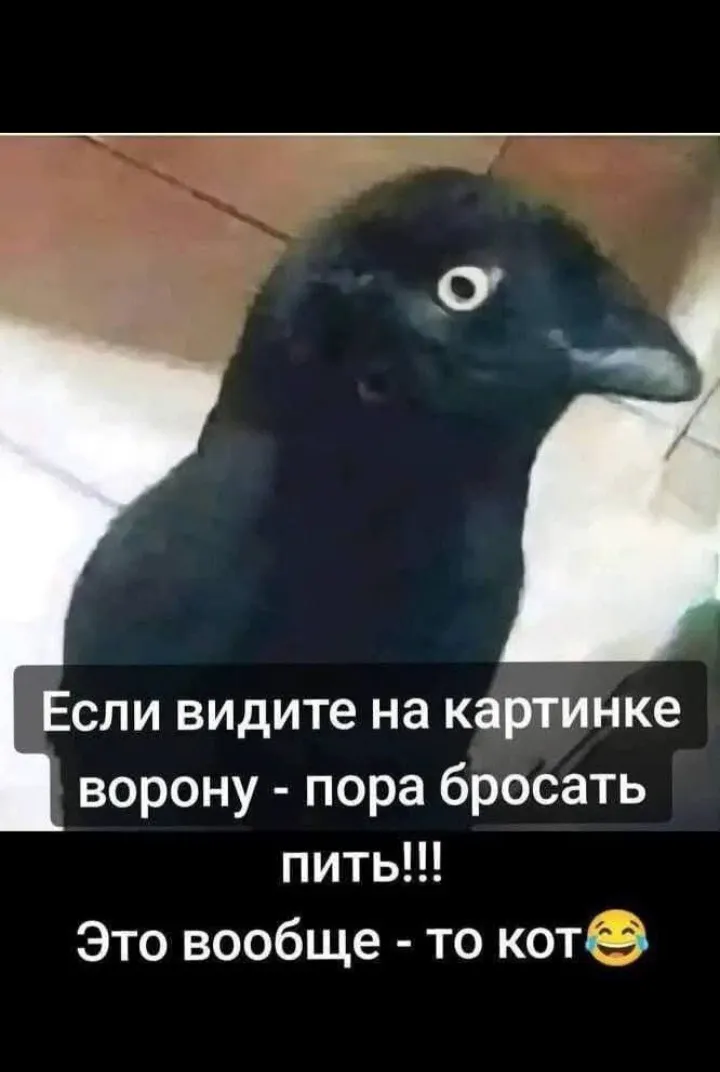 Кто это? #2