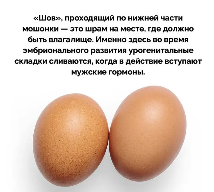 Доказательство эволюции  #1