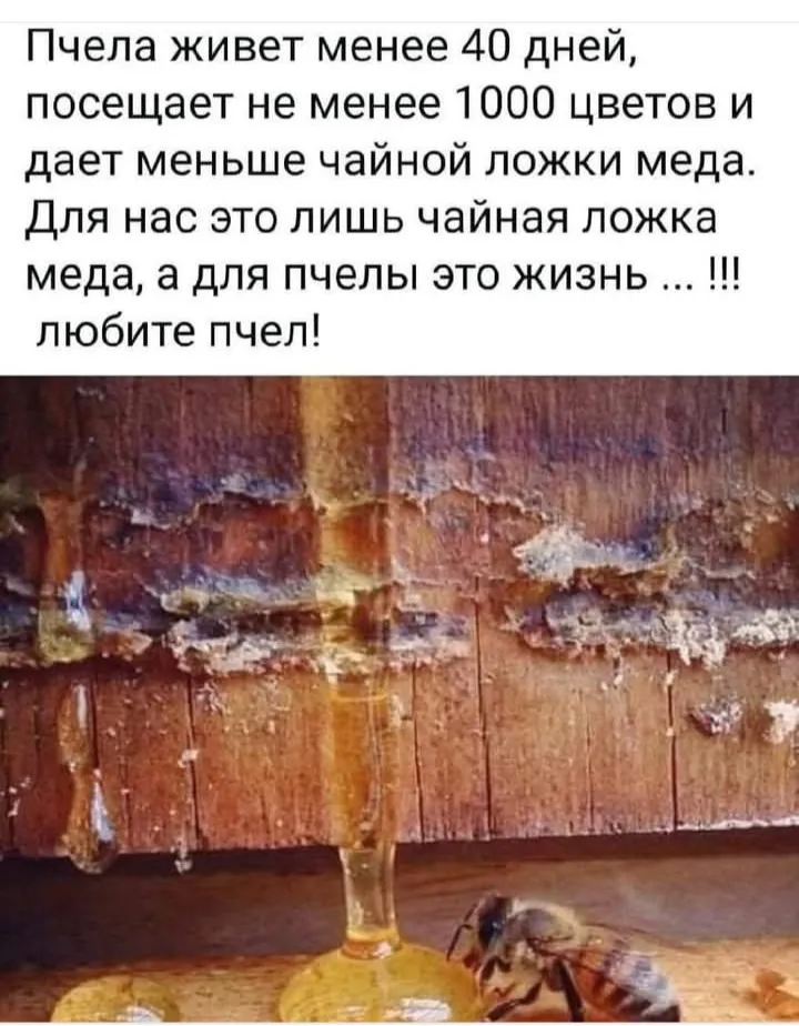 Маленький вклад в большое дело #2