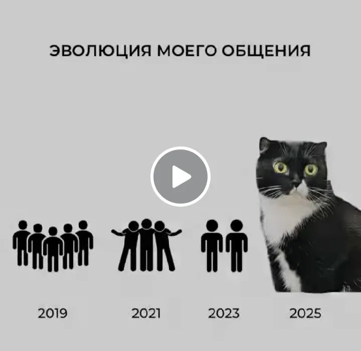 Коты скоро станут и у нас священными животными) #2