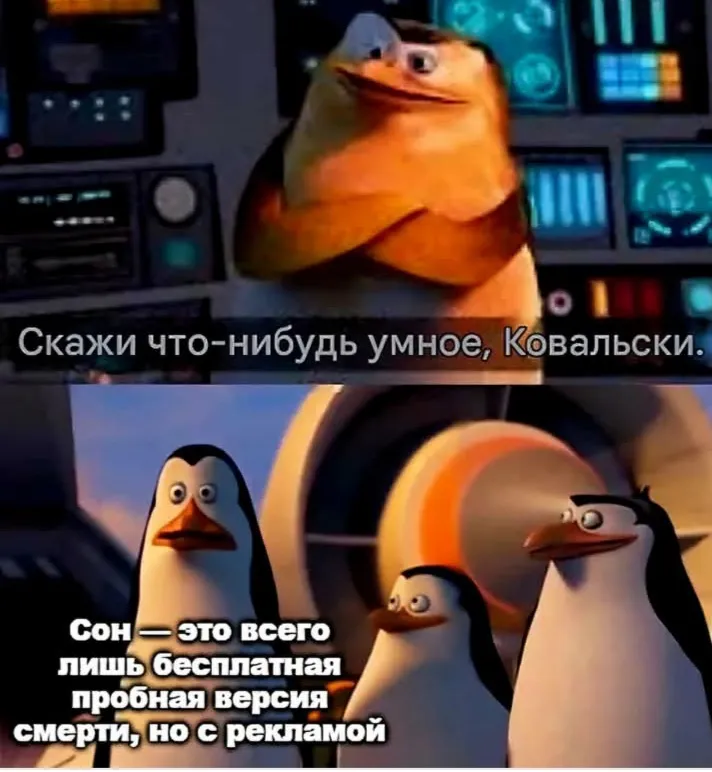 Что такое сон? #1