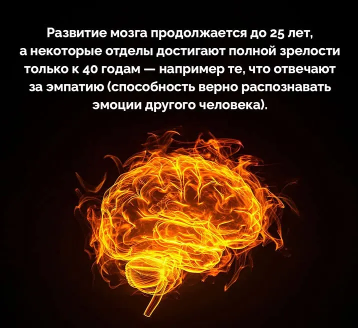 Поздно учиться, когда за 40? #2