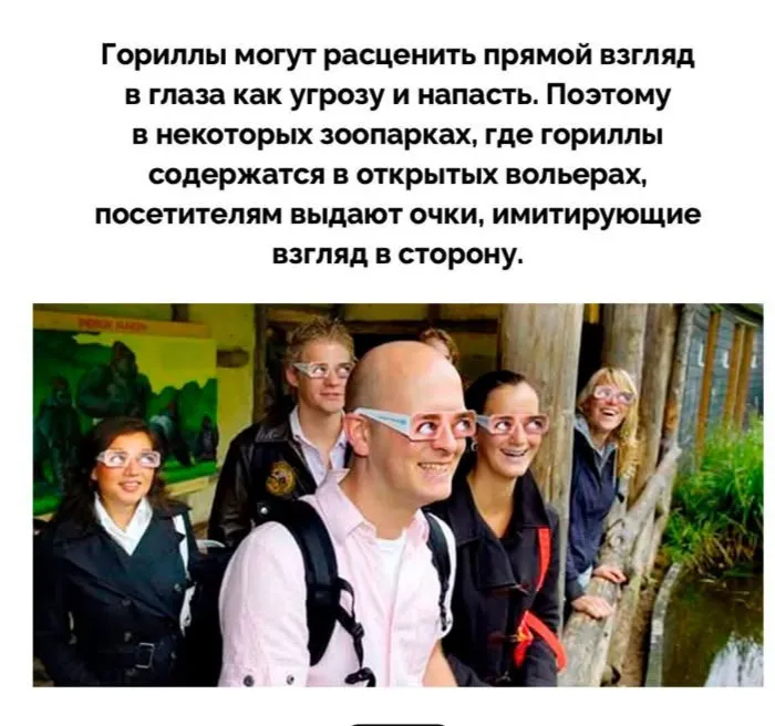 Очки для любопытных #2
