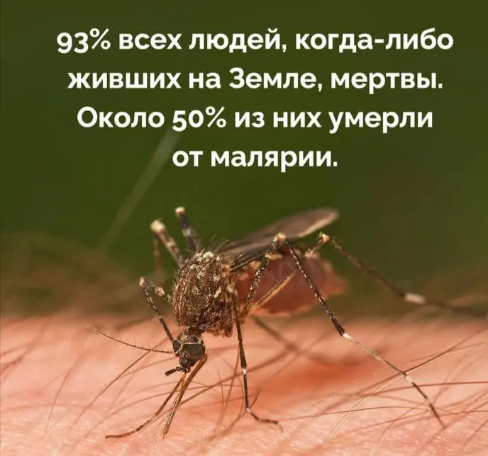 Интересный факт  #1