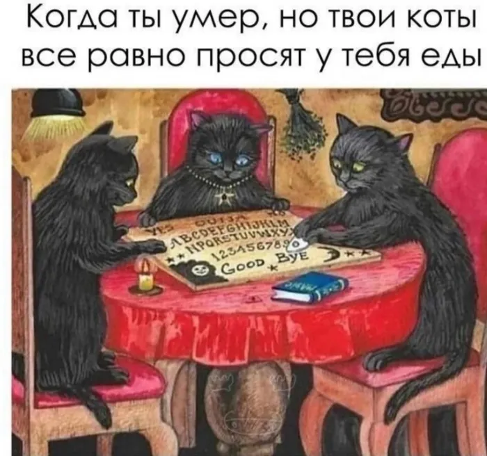 Немного юмора на ночь #2