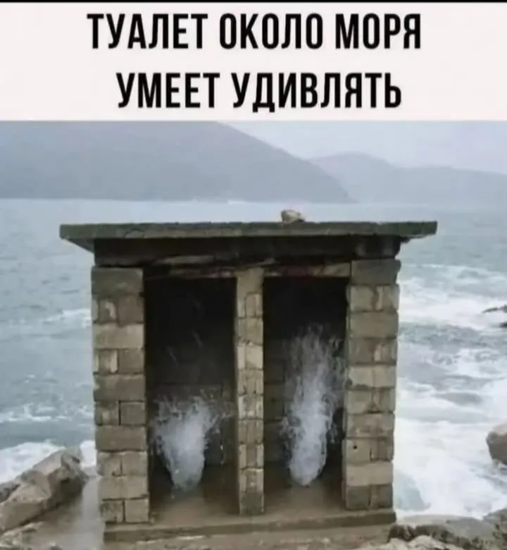 Самые необычные туалеты #2
