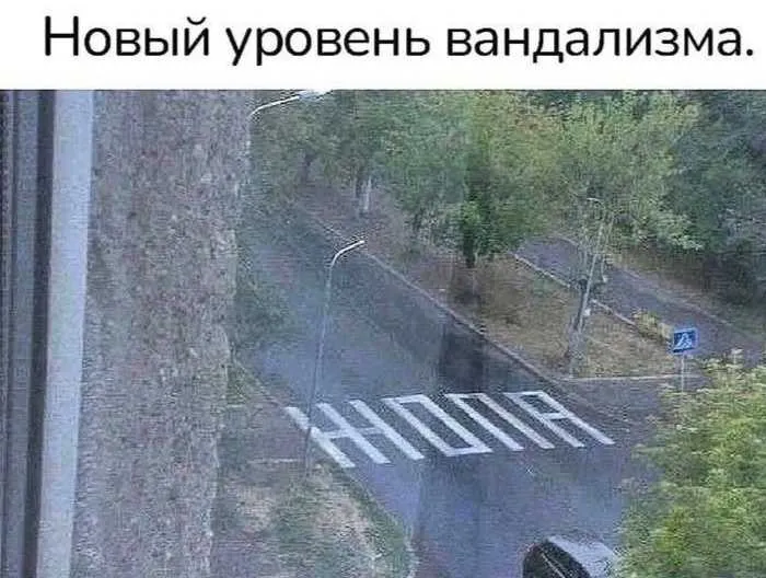 Вид из окна заставил улыбнуться #1
