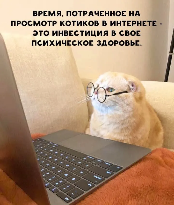 Смотри на здоровье! #1