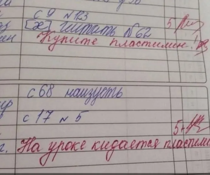Самые веселые записи в дневниках  #2