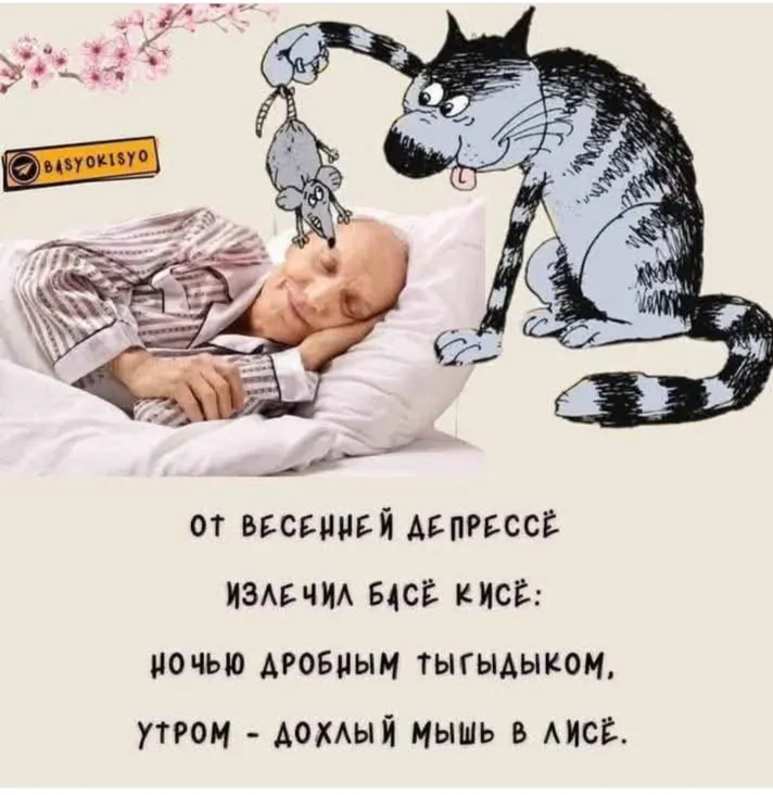 Про Кисё и Басё  #2