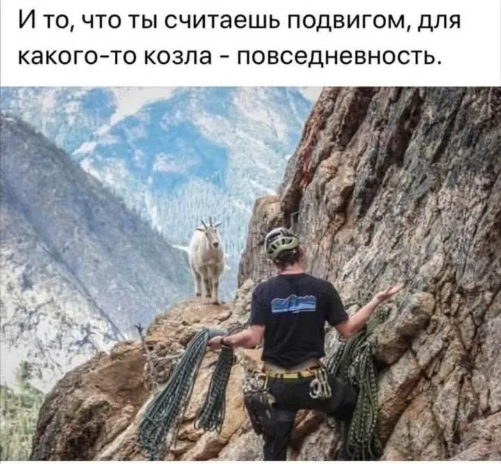 Немного юмора для хорошего дня  #2