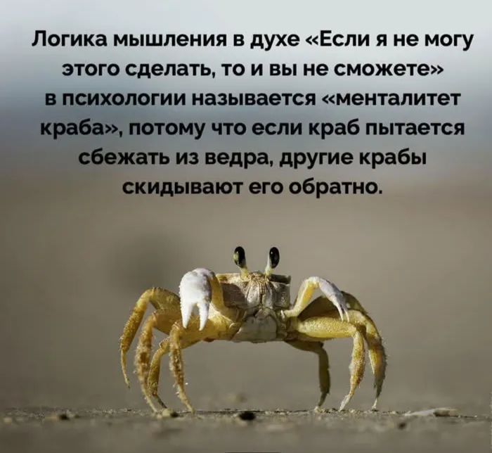 Ведро с крабами  #2