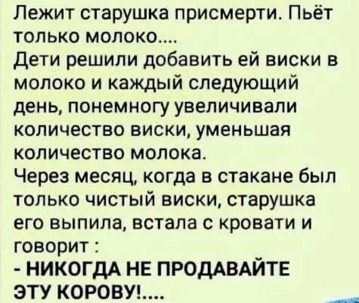 Юмор на ночь 🌃 #1