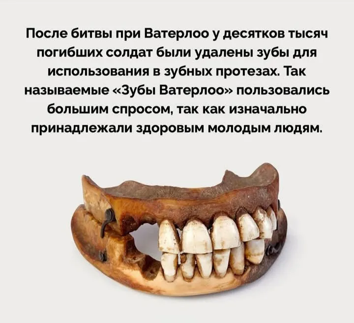 Зубы Ватерлоо #1