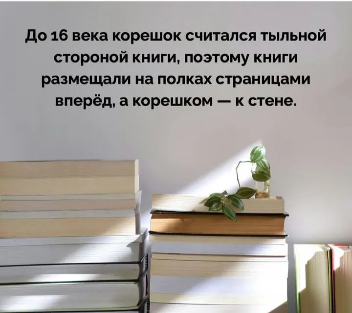Как ставите книги на полках? #2
