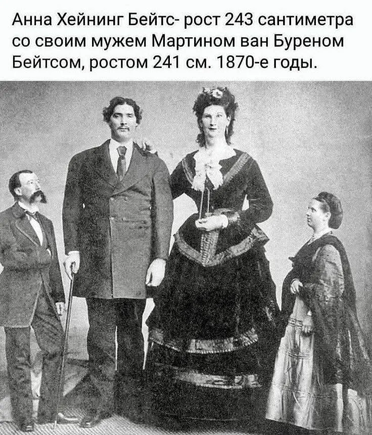 Был ли Гулливер в той стране? #2