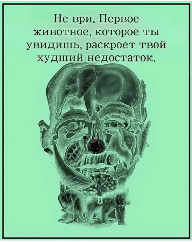 Найди свой самый большой недостаток #2
