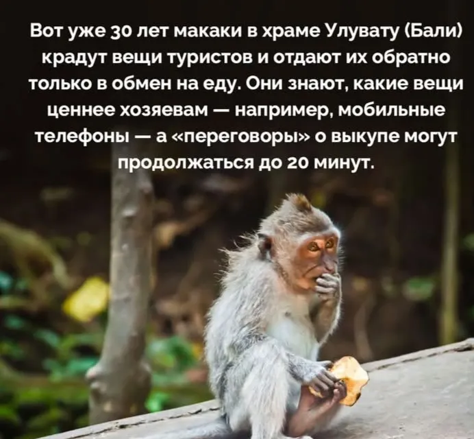 Выживет сильнейший  #2
