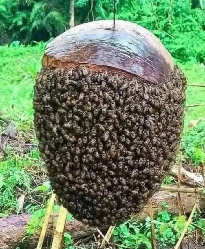 Знаете ли вы, что…? #2